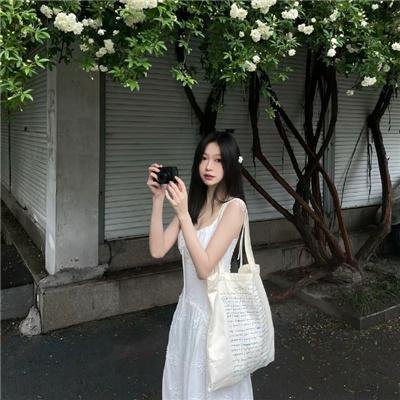 外来客入侵